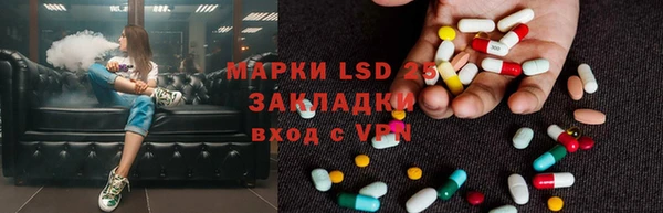 трава Аркадак