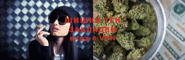трава Аркадак