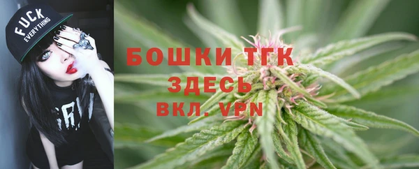 трава Аркадак