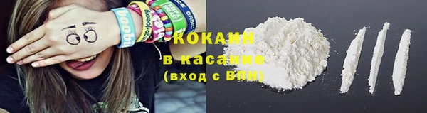 трава Аркадак
