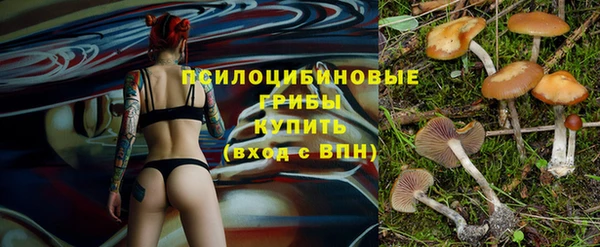 бутират Арсеньев